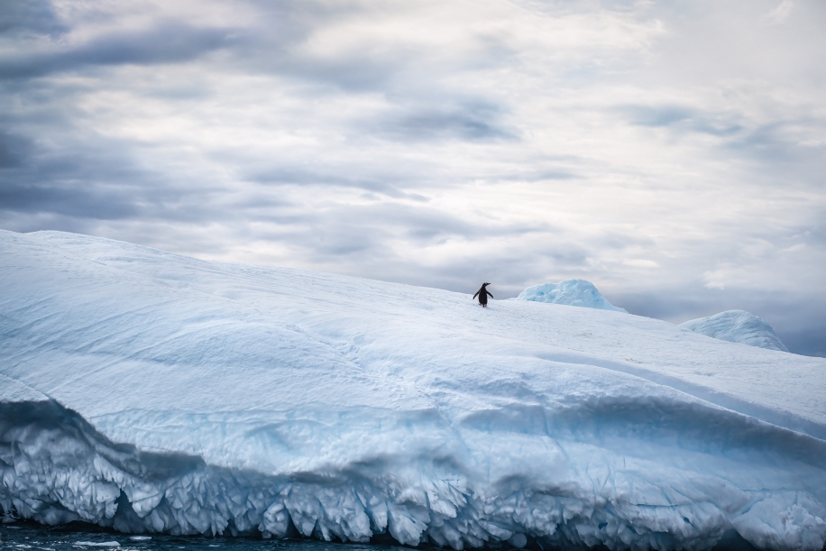 The decline of the sixth continent